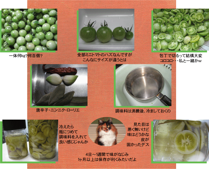 画像の説明 画像の説明